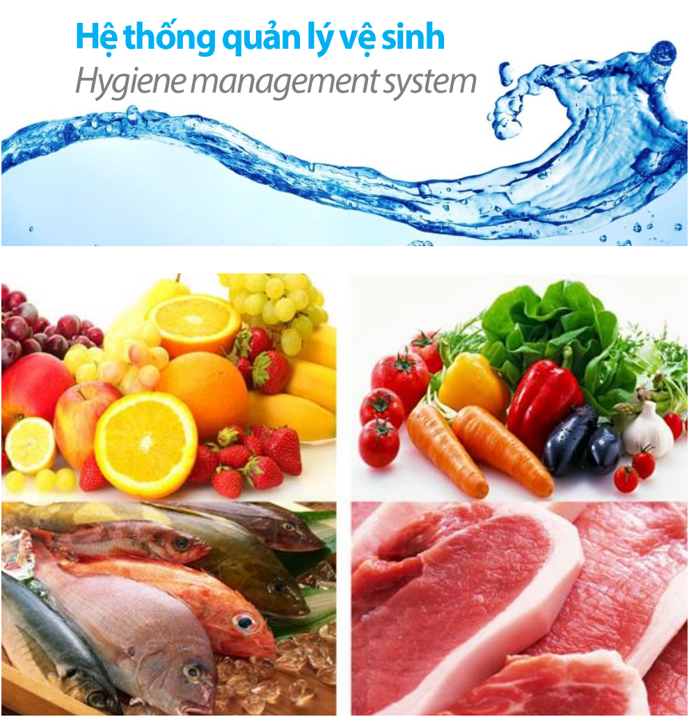 Cung ứng thực phẩm sạch cho trường học